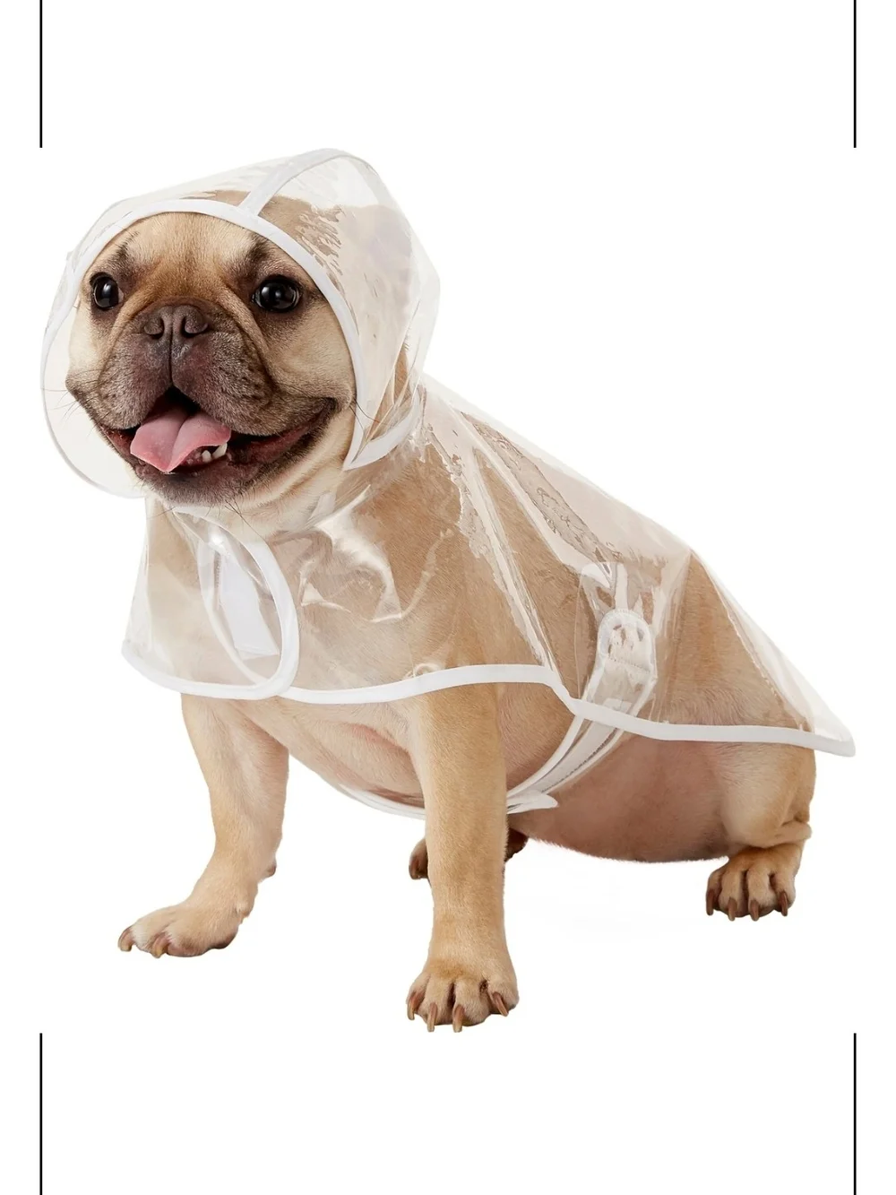 Frisco Clear Waterproof Dog Raincoat with White Trim - Pet Apparel